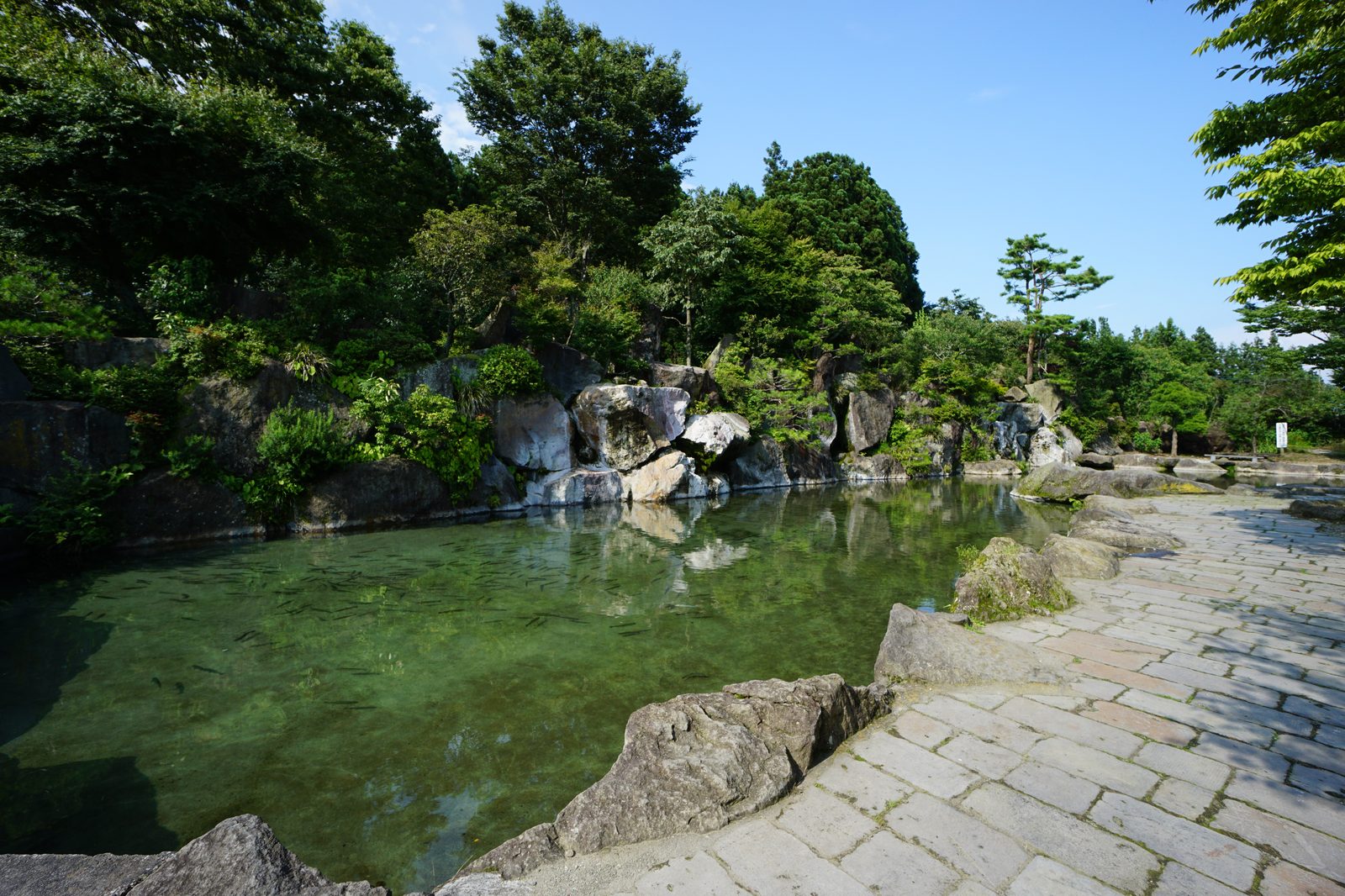 那須「清流の里」付近の自然